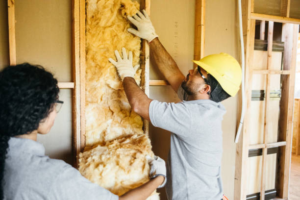 Best Radiant Barrier Insulation  in Monterey, TN